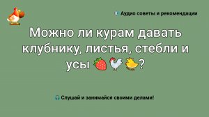Можно ли курам давать клубнику, листья, стебли и усы ???