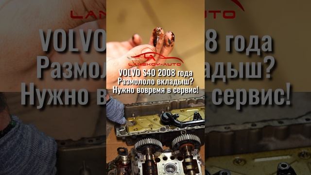 VOLVO S40 под капотом весь в масле. Вкладыш на 2 цилиндре размололо.