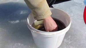 репортаж с "отравленной" реки Уй Челябинской области