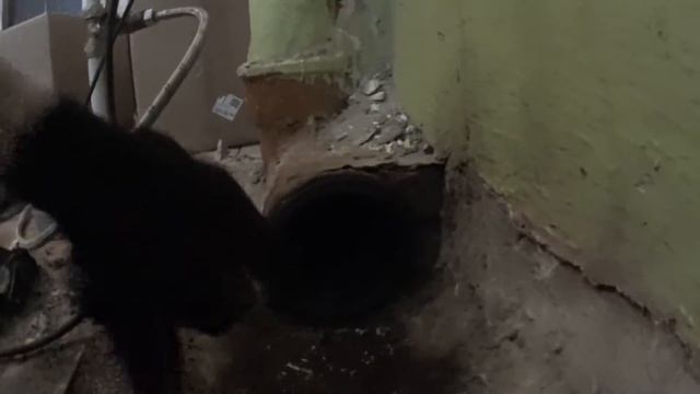 как легко перейти с чугунной трубы на пластик смотреть онлайн