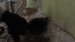 как легко перейти с чугунной трубы на пластик