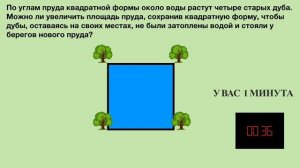 Задача на смекалку. По углам пруда квадратной формы около воды растут четыре старых дуба.
