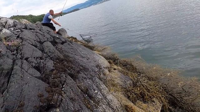 НАКОНЕЦ-ТО ОНА ПОШЛА!!! СКУМБРИЯ! Рыбалка в Норвегии с берега!! Рыбалка с подписчиком! Мольва. смотреть онлайн