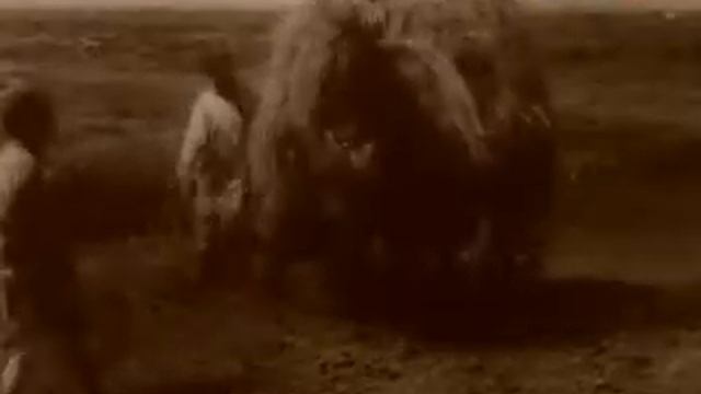 Роговой оркестр смотреть онлайн