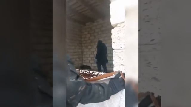 у собаки  обмотанно проволокой  мордочка.  это делают люди живодеры смотреть онлайн