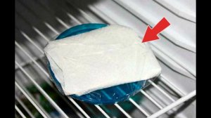 Несомненно лучший способ проращивания семян помидор! Как прорастить семена томатов?