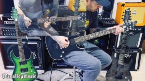 Schecter Damian Platinum 6 Demo! #metal #schecter #riffs #emg #chugs