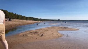 Пляж в Липово, Сосновый Бор