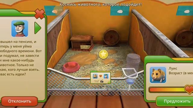 играем в пет ворлд (приют для животных) смотреть онлайн