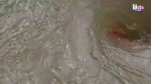 Эксперимент - Вихревая дыра против игрушек и вкусняшек! #42