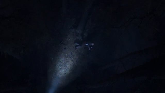 Hitman 3 - Announcement Trailer (PS4/XBOX/PC) смотреть онлайн