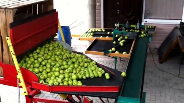 сортировочная линия для Яблок с опрокидывателем
