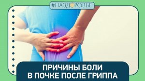 #НАЗДОРОВЬЕ: причины боли в почке после гриппа