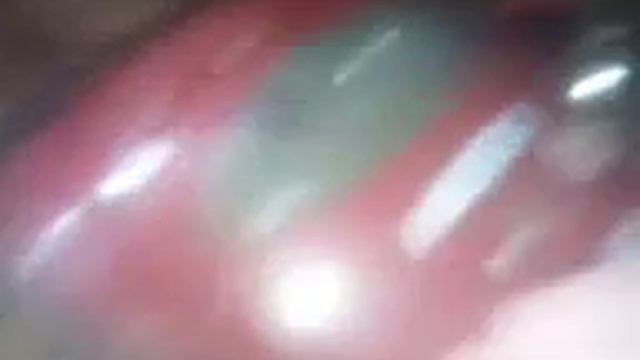 Обзор пылесоса LG Storm Extra V-C3032RB смотреть онлайн