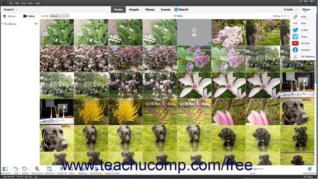 Overview of the Organizer in Adobe Photoshop Elements 2023: A Training Tutorial смотреть онлайн