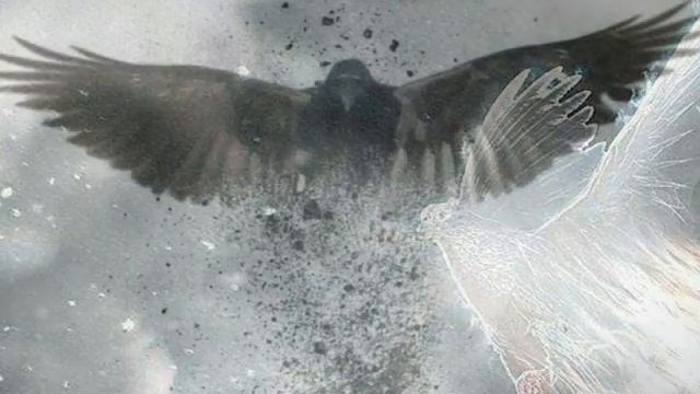 Стихотворение: "КОД ДУШИ". Читает автор — Елена Артёменко. Запись: июнь, 2023 года. смотреть онлайн