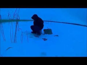 Зимняя рыбалка Ловля ротана  Подводная съемка