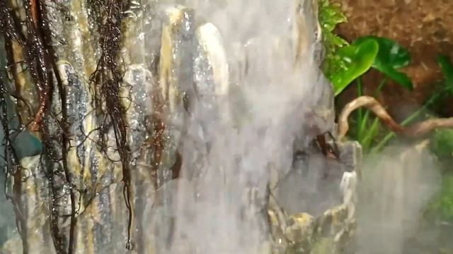 Палюдариум своими руками с водопадом. (Paludarium with your own hands with a waterfall) смотреть онлайн