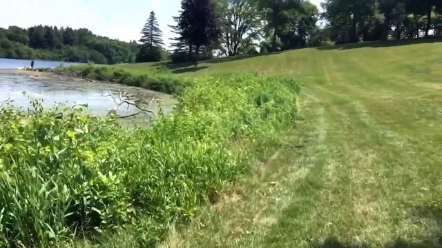 РЕЦЕПТ МОЛОДОСТИ И САМЫЙ БЫСТРЫЙ ПИКНИК ЗА 20 минут смотреть онлайн