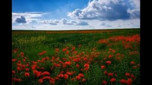 Гайдар. Звезда по имени солнце. В. Цой (кавер).