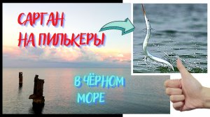Ловля саргана в Крыму. На что ловят саргана в чёрном море.