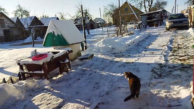🎄Поездка к родителям🎆Сочельник🎆Волшебная природа🥶Мороз-20🤗Готовимся к рождеству ✨
