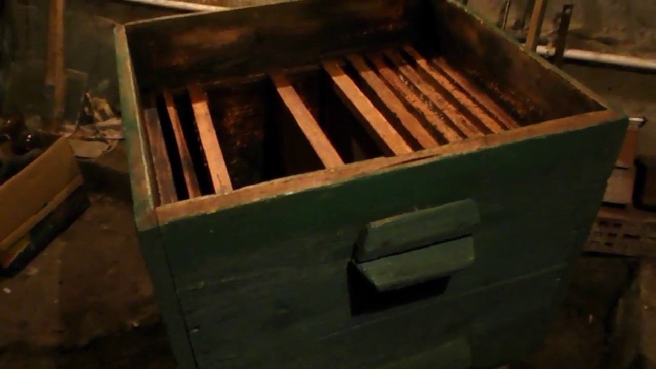 Пчеловодство.  Улей Дадан.(Beekeeping. Beehive Dadan)