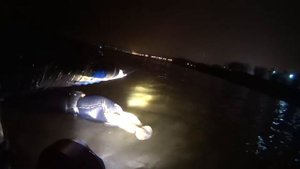 Нашли на Волге бычка. октябрь 2015.