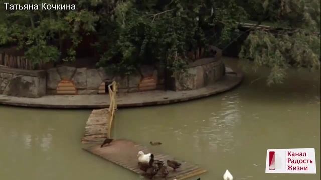 Взаимоотношения в семье смотреть онлайн