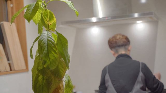 雪に埋もれた小屋の雪下ろし|アナゴの押し寿司と玄米朝食|田舎暮らしのVlog