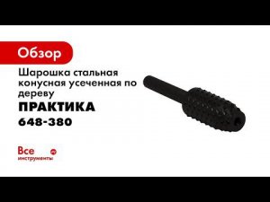 Насадка рашпильная по дереву Практика   Шарошка цилиндрическая Практика 1