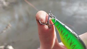 Туша 90кг на воблер