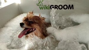 Озонотерапия