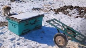 самодельная универсальная тележка для деревни или дачи