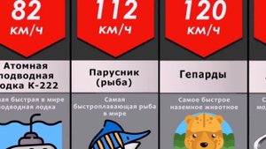 Самые быстрые объекты на земле. Рейтинг для сравнения.