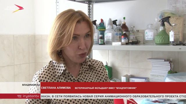Во Владикавказском питомнике бесплатно проведут операции по стерилизации домашних животных