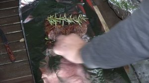 КИЛОГРАММОВЫЙ СТЕЙК НА МАНГАЛЕ как приготовить стейк на гриле как пожарить стейк