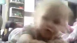 Вышел зайчик на крыльцо стишок про зайца