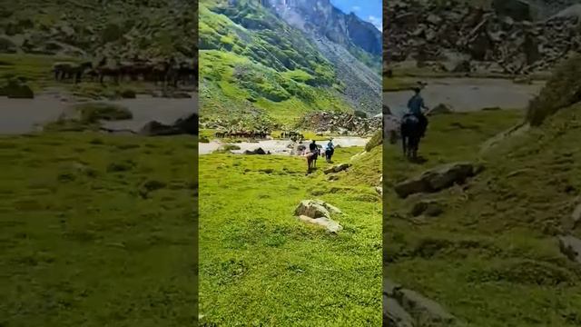 Это не Швейцария это Кыргызстан🇰🇬👍Природа красота #горы #реки #озеро #водопад #travel