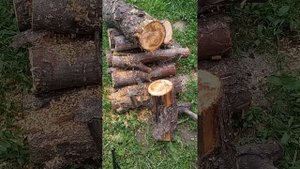Самая дешёвая пила на аккумуляторах. Как она пилит