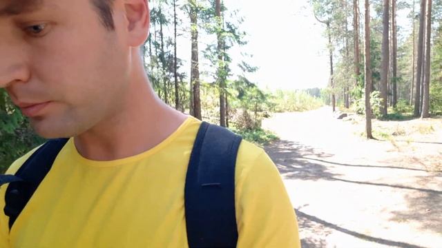 Прогулка по лесу/ Сбор мха/ Ответы на вопросы смотреть онлайн