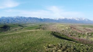 Марьин корень Тарбагатай класс