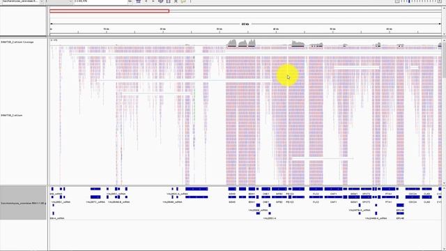 从零开始学生信之Linux, Perl and R-第四讲 смотреть онлайн