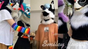 подборка видео из лайка|рапторы и фурри|№6