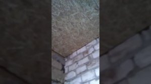 подшивка потолков OSB