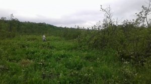 06.07.2020. Лето на гектарах. РАсчищаем место под биовегетарий