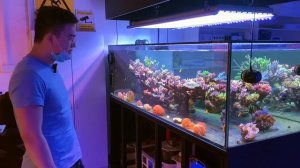 Aquamarine Aquaristic SPS System Overview (and coral art giveaway!)