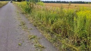 Самодельная КОСИЛКА ЗА ПОЛ ЧАСА для Т-40АМ. Очередной НЕУДАЧНЫЙ ЭКСПЕРИМЕНТ.