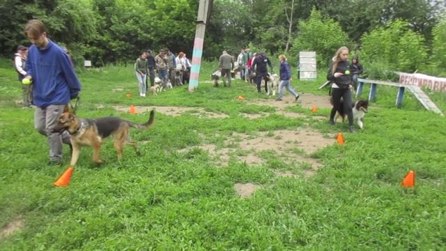 Весёлые старты в Центре специальной дрессировки собак (2022.06.26)