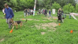 Весёлые старты в Центре специальной дрессировки собак (2022.06.26)